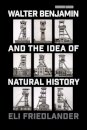Walter Benjamin and the Idea of Natural History