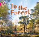 In the Forest