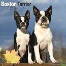 Boston Terrier Calendar 2026  Square Dog Breed Wall Calendar - 16 Month