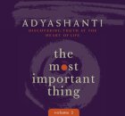 Most Important Thing, Volume 2