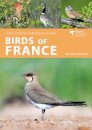 Birds of France