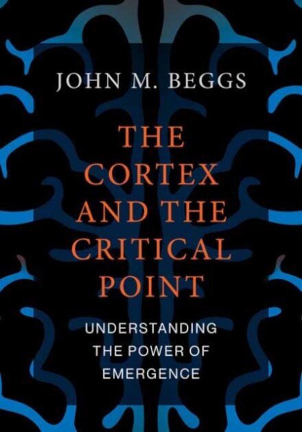 The Cortex and the Critical Point