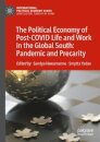 The Political Economy of Post-COVID Life and Work in the Global South: Pandemic and Precarity