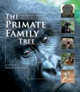 The Primate Family Tree