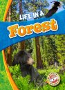 Life in a Forest