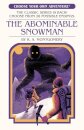 The Abominable Snowman