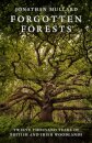 Forgotten Forests