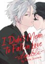 I Didn't Mean to Fall in Love -double-
