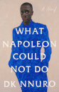 What Napoleon Could Not Do
