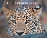 The Indian Leopard