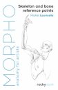 Morpho: Skeleton and Bone Reference Points : Anatomy for Artists