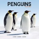 Penguins Calendar 2024  Square Animal Wall Calendar - 16 Month