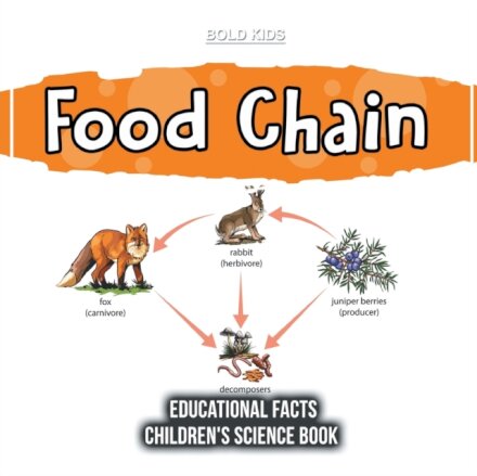 Food Chain Educational Facts Children's Science Book