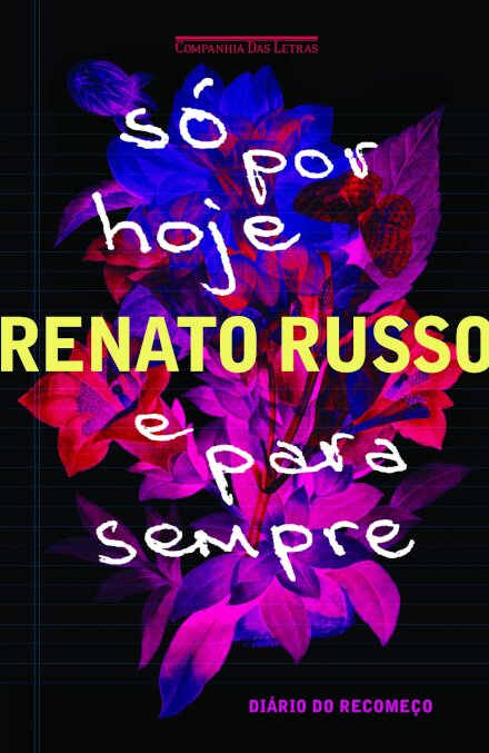 Só Por Hoje E Para Sempre: Diário Do Recomeço