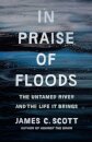 In Praise of Floods