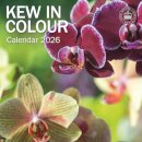 Royal Botanic Gardens Kew Kew In Colour