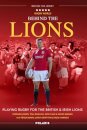 Behind the Lions