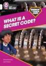 Shinoy and the Chaos Crew: What is a secret code?