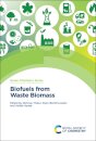Biofuels from Waste Biomass