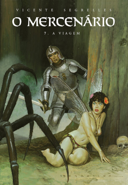 O Mercenário 7 - A Viagem