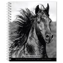 Horse, The Noble, The BrownTrout Portrait Series 2027 Engagement