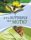 Is It a Butterfly or a Moth?