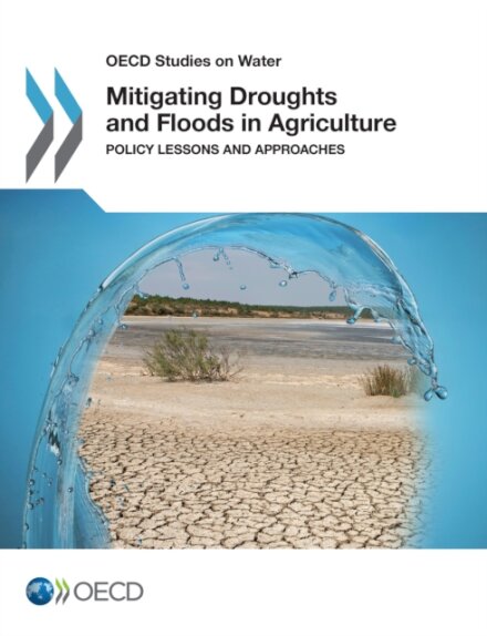 Mitigating Droughts and Floods in Agriculture