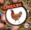 Life Cycle of a Chicken