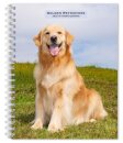 Golden Retrievers 2026 Engagement Diary