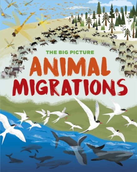 The Big Picture: Animal Migrations