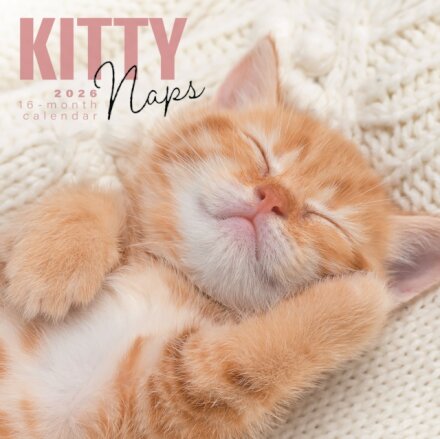 Kitty Naps Square Wall Sunday Start Cale