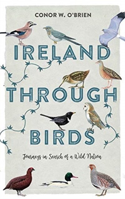 Ireland Through Birds