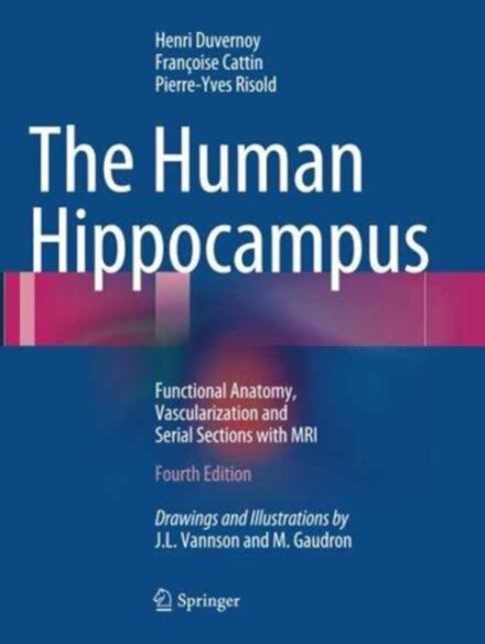 The Human Hippocampus
