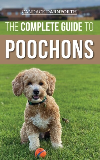 The Complete Guide to Poochons