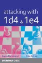 Attacking with 1d4 & 1e4