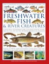 The Complete Illustrated World Guide to Freshwater Fish and River Creatures