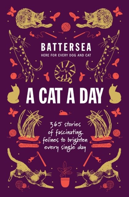 Battersea Dogs and Cats Home - A Cat a Day