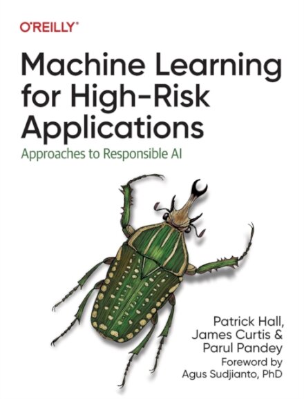 Machine Learning for High-Risk Applications