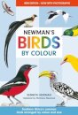 Newman's Birds by Colour