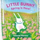 Little Bunny, Spring Is Here!