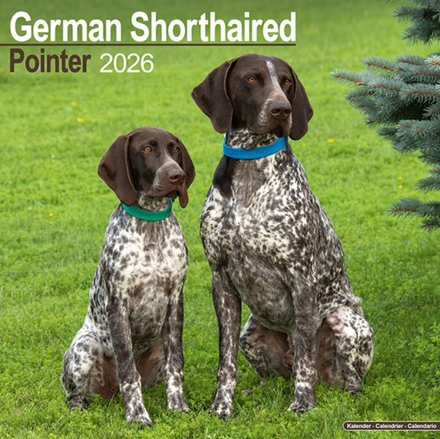 German Shorthair Pointer Calendar 2026 Square Dog Breed Wall Calendar - 16 Month