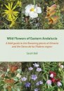 Wild Flowers of Eastern Andalucia