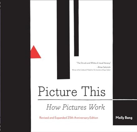 Picture This : How Pictures Work
