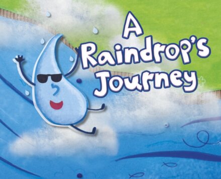 A Raindrop's Journey