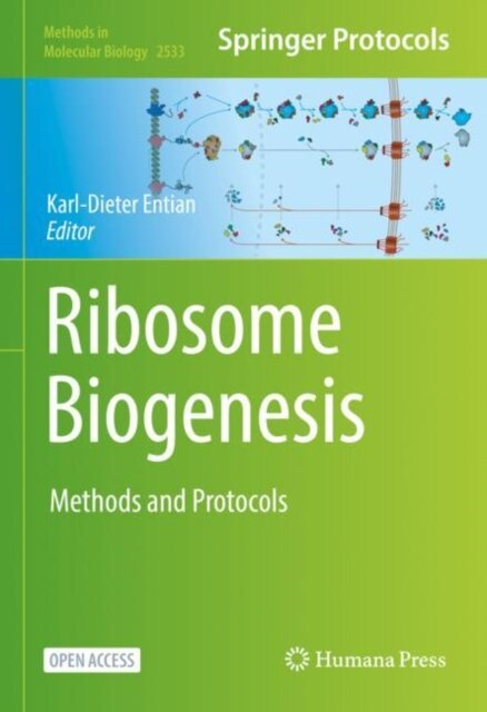 Ribosome Biogenesis