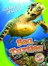 Sea Turtles