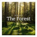 Life & Love of the Forest