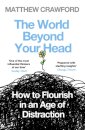 The World Beyond Your Head