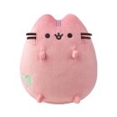 PINK PASTEL PUSHEEN