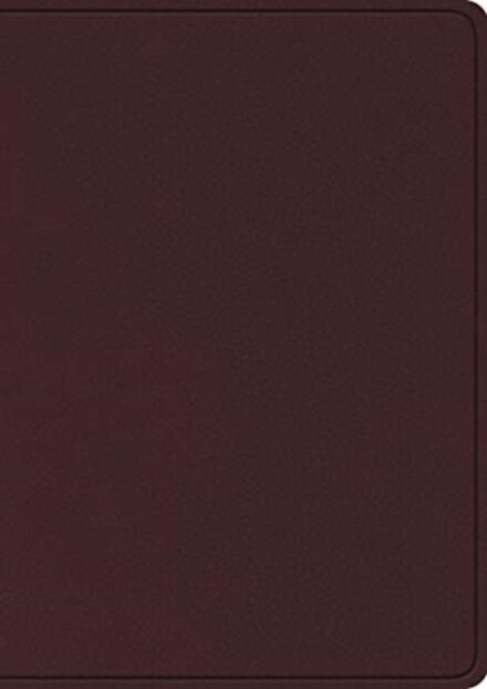 ESV Study Bible, Large Print
